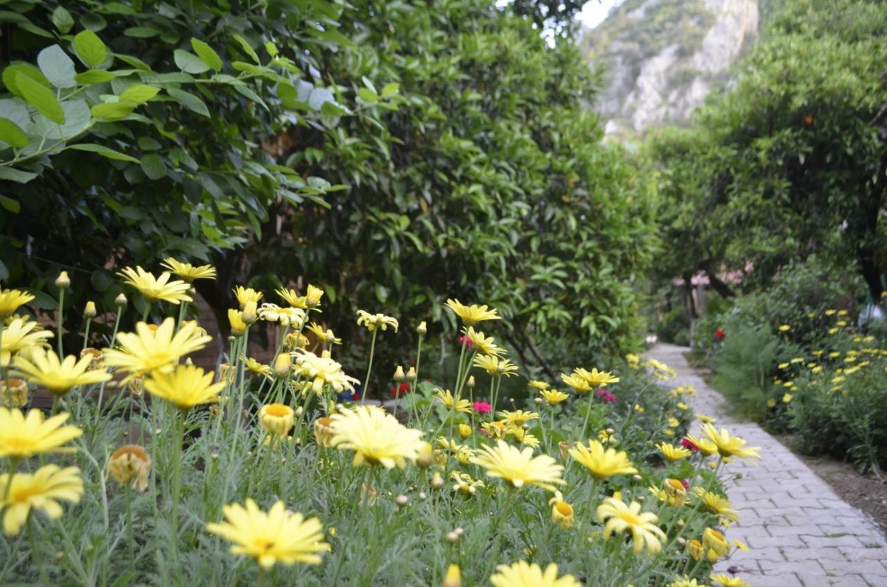 Mercan Pension Olympos Exterior foto