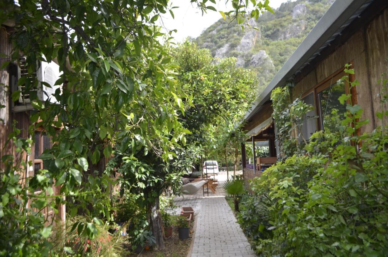 Mercan Pension Olympos Exterior foto
