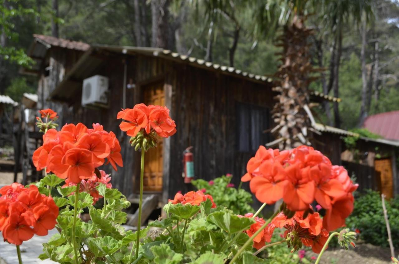 Mercan Pension Olympos Exterior foto