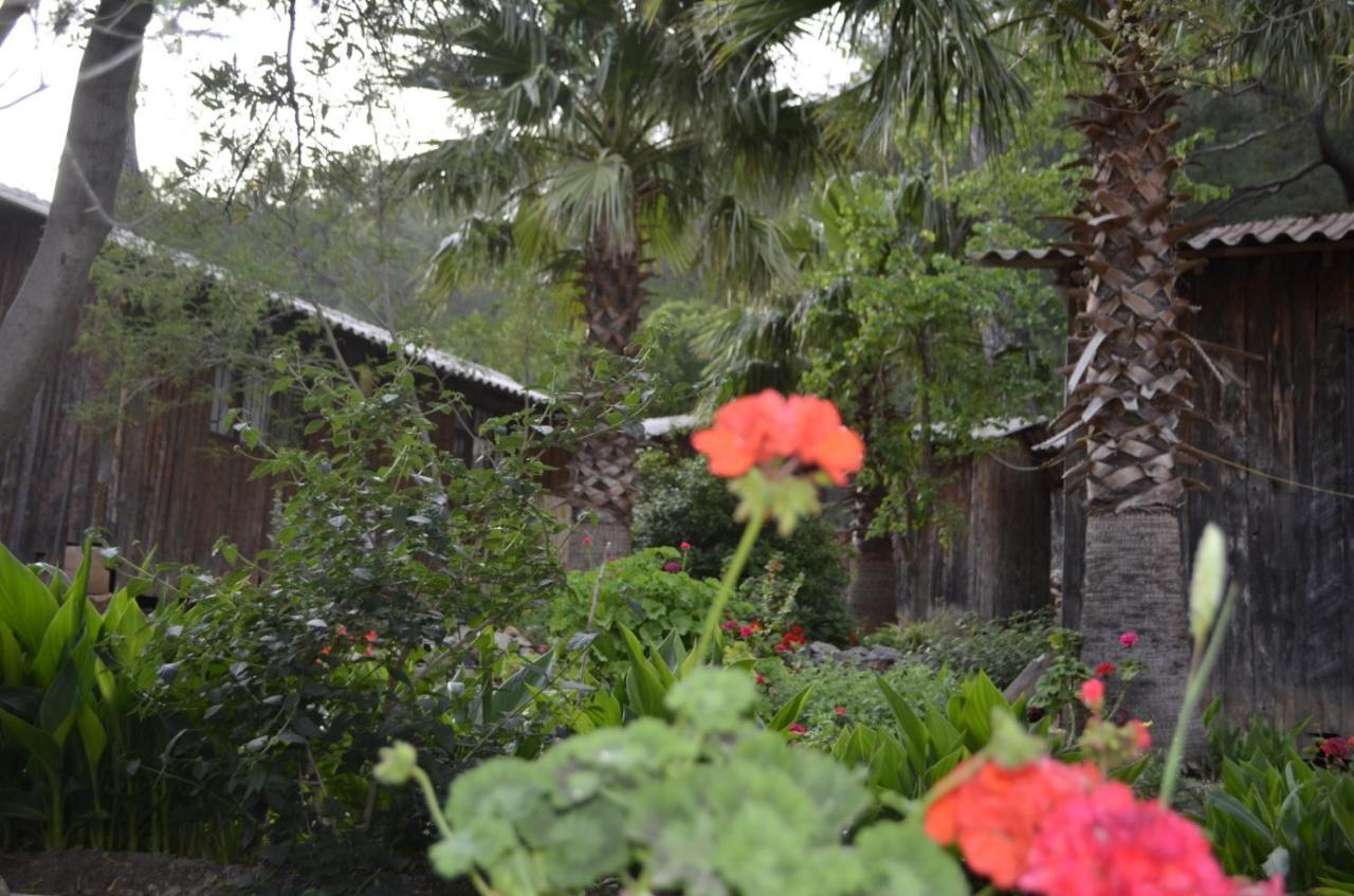 Mercan Pension Olympos Exterior foto