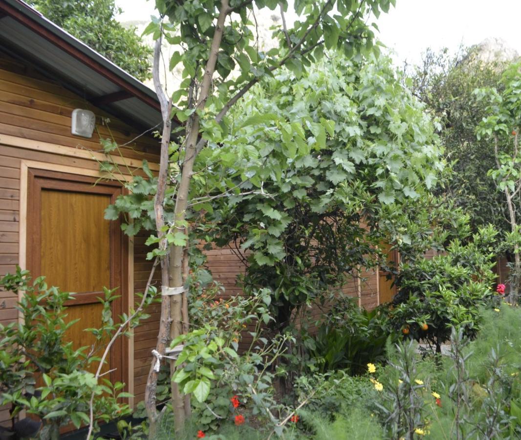 Mercan Pension Olympos Exterior foto