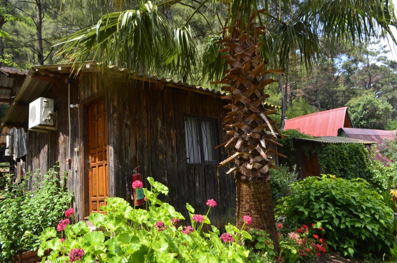 Mercan Pension Olympos Exterior foto