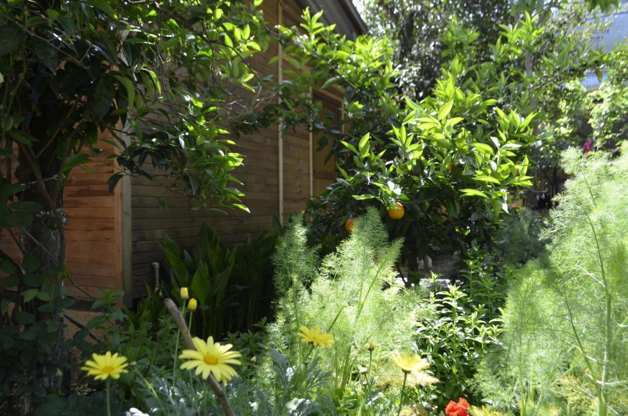 Mercan Pension Olympos Exterior foto