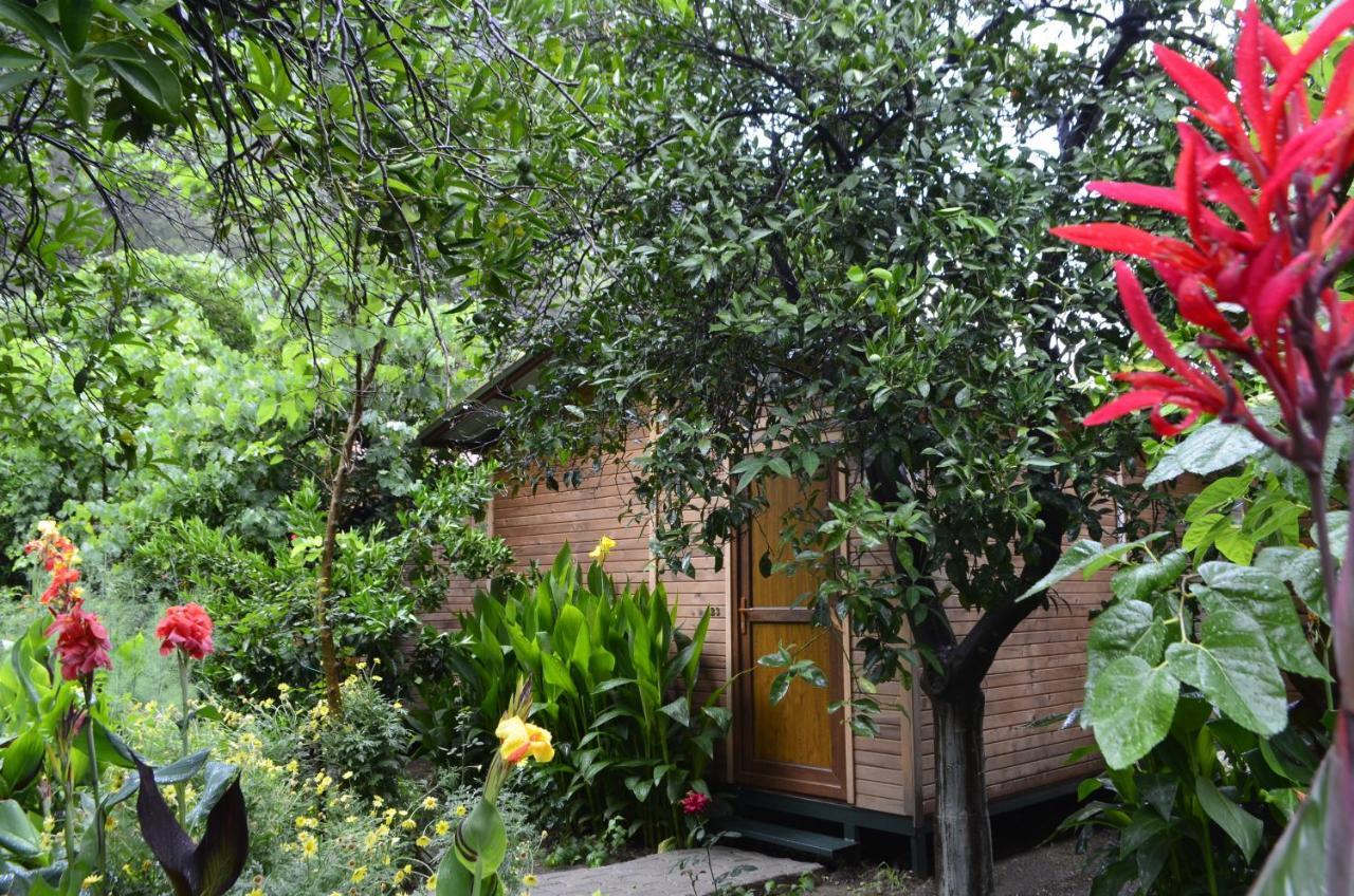 Mercan Pension Olympos Exterior foto