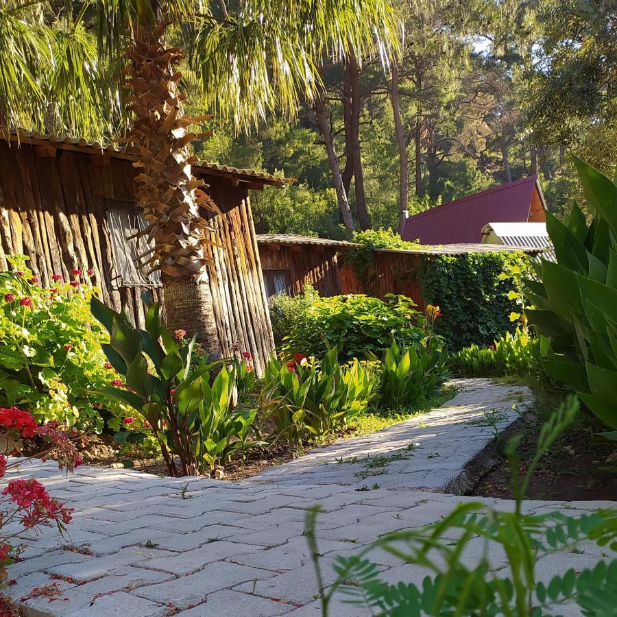 Mercan Pension Olympos Exterior foto