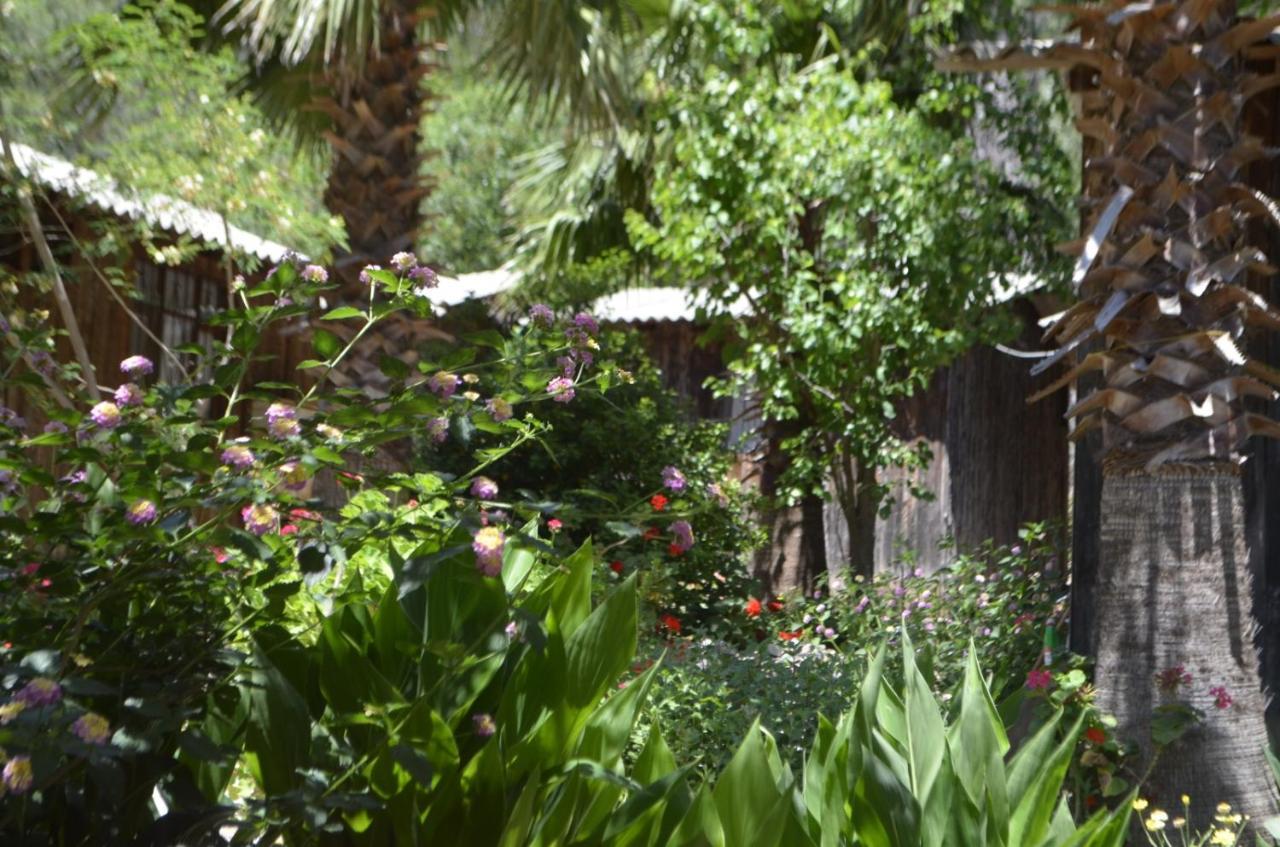 Mercan Pension Olympos Exterior foto
