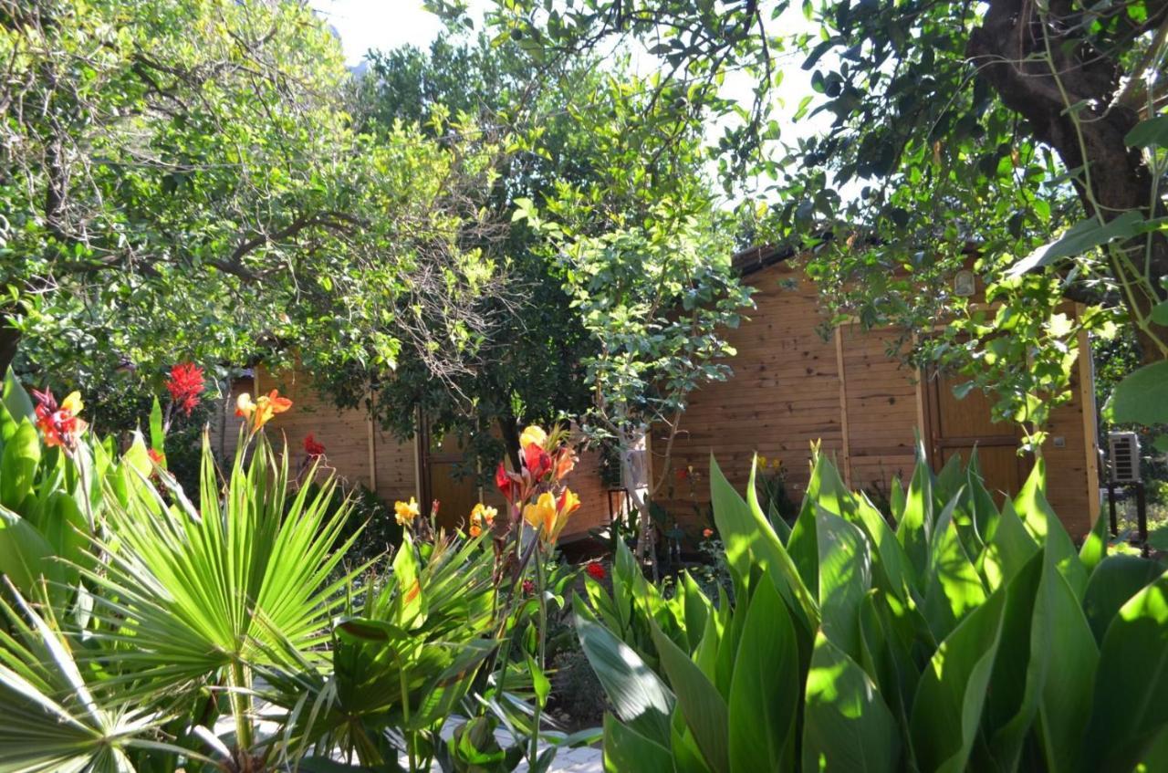 Mercan Pension Olympos Exterior foto
