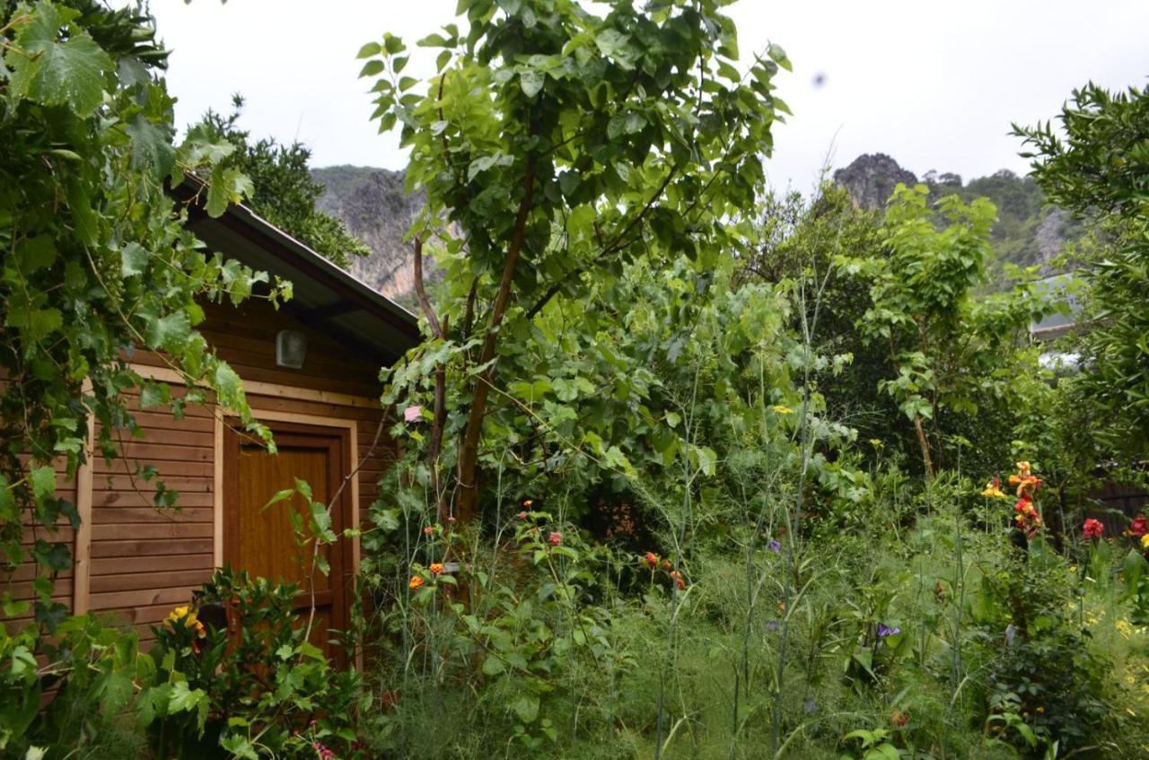 Mercan Pension Olympos Exterior foto